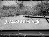 a sign with lettering smart is laying in the grass at a street on rhodes, black-and-white
