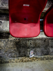 empty sunflower seeds are laying in front of a red chair in the karaikakis stadion in piraeus