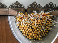 yello candles are laying in a curved bowl to be lit in the church of profits ilias on rhodes