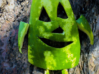 a funny carved watermelon-face laughs at a tree in kameiros on rhodes