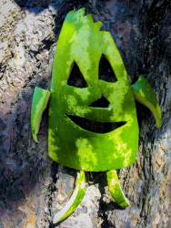 a funny carved watermelon-face laughs at a tree in kameiros on rhodes