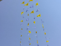 greek flags and flags of the greek orthodox are hanging in four ropes in front of a blue sky in ialysos on rhodes
