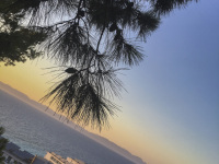 view from monte smith over the houses in ialysos, the sea and the sunset in rhodes