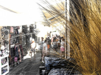 tourists in the street of lindos in rhodes with yello reed grass in the front