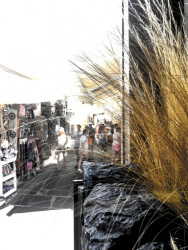 tourists in the street of lindos in rhodes with yello reed grass in the front