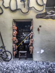 view in a backyard, where ist a shoe shop with homemade leather sandals
