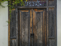 a loveley brown carved door in the old town of rhodes, overgrown with bougainvillea