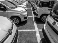 many white and new fiat panda are parking lined up in order at the harbor in rhodes city, black-and-white