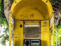 a card telephone in a yello telephone booth, which ist hanging at a tree in afantou on rhodes