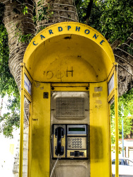 a card telephone in a yello telephone booth, which ist hanging at a tree in afantou on rhodes