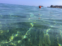view through the water on the ground of the sea in stegna beach on rhodes with a red buoy at the surface