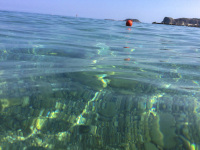 view through the water on the ground of the sea in stegna beach on rhodes with a red buoy at the surface