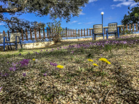 the outdoor terrace of a taverna with chairs, many flowers and a blue sky in trapeza near diakopto