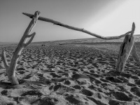 a selfmade gate of dead wood is standing on the sandy beach in limni beach on rhodes, black-and-white
