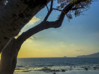 under a tree sitting with a view on the sunset at limni beach