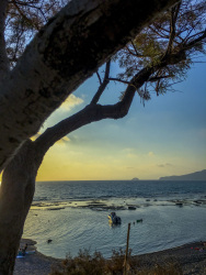 under a tree sitting with a view on the sunset at limni beach