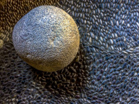 a grey bullet lies on a mosaic of a knights chamber in the old town of rhodes