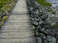 a long wooden landing stage leads to the wadden sea at the wurster nordseeküste in germany