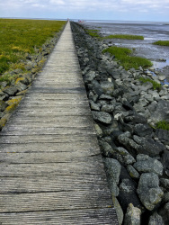 a long wooden landing stage leads to the wadden sea at the wurster nordseeküste in germany
