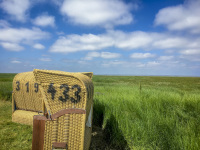 two yello beach chairs are standing in front of green grass and under a blue sky with clowds at the wurster nordseeküste in germany