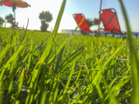 behind big green grass are standing two red beach chairs near kamiros on rhodes