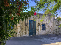an old white house with blue door and blue window behind an oleander in kritinia on rhodes
