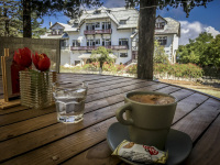 in front of the elafos hotel in profiis ilias on rhodes stands a wooden table with a cup of coffee and red flowers