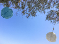 a blue lampion and a white lampion are hanging in a tree at a blue sky in stegna on rhodes