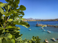 behind a fig tree you see in the blue sea the ship magelanos and boats at the little harbor of lindos on rhodes