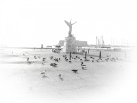 pigeons are bustling around a statue at the harbor mandraki on rhodes in the morning with backlite, black-and-white