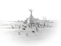 pigeons are bustling around a statue at the harbor mandraki on rhodes in the morning with backlite, black-and-white