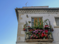 a house with as very small balkon, which is full of colorful flowers in bovino in puglia in italy