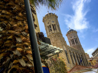 next to a palm the towers of the holy church of dormition of the virgin mary chrisospileotissa in athens