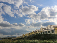 a row of big greenhouses in the landscape of puglia near the village bovino in italy