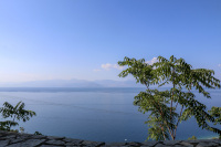 a gren tree in front of the blue gulf of corinth and in the background you see the mountains of the greek mainland