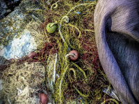 a fisher net and a purple blanked are laying on stones at the lake pamvotida in ioannina
