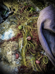 a fisher net and a purple blanked are laying on stones at the lake pamvotida in ioannina
