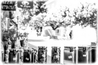 glasses with homemade honey for sale in the streets of kalavrita, black-and-white