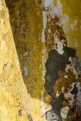 a weatherd wall in eleousa on rhodes looks like toulouse lautrecs painting jane avril