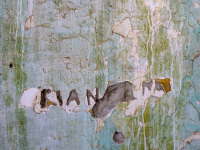wheatered wall of a ruin in eleousa on rhodes seams like an artwork