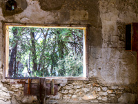 the window of an ruin in eleousa on rhodes shows the green wood behind it