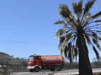 along the mainstreet on rhodes near gennadi you see burned earth, a palm and a passing fire engine