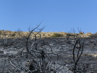 the blue sky and a fire plane above a grey landscape  with burned trees and burned electricity poles in kiotari on rhodes, where was a big fire in 2023