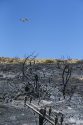 the blue sky and a fire plane above a grey landscape  with burned trees and burned electricity poles in kiotari on rhodes, where was a big fire in 2023