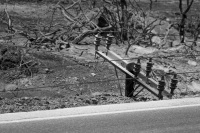 the electrical cross arms of a burned electricity pole are laying on the ground next to the street in kiotari on rhodes at the fire in 2023, black-and-white