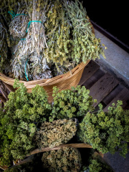 different sorts of green mountain teas are selling in a basket at the street in kalavrita