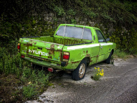 at a with moss overgrowned wall in doliana is standing a green old hyundai pickup next to yello flowers