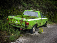 at a with moss overgrowned wall in doliana is standing a green old hyundai pickup next to yello flowers
