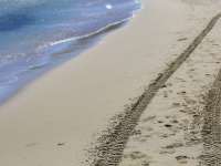 car tracks at the sandy beach near the water in prasonisi on rhodes