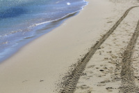 car tracks at the sandy beach near the water in prasonisi on rhodes